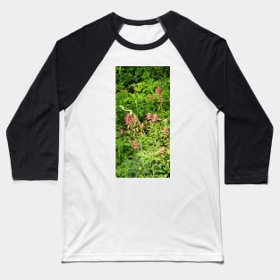 Indian Paintbrush Baseball T-Shirt